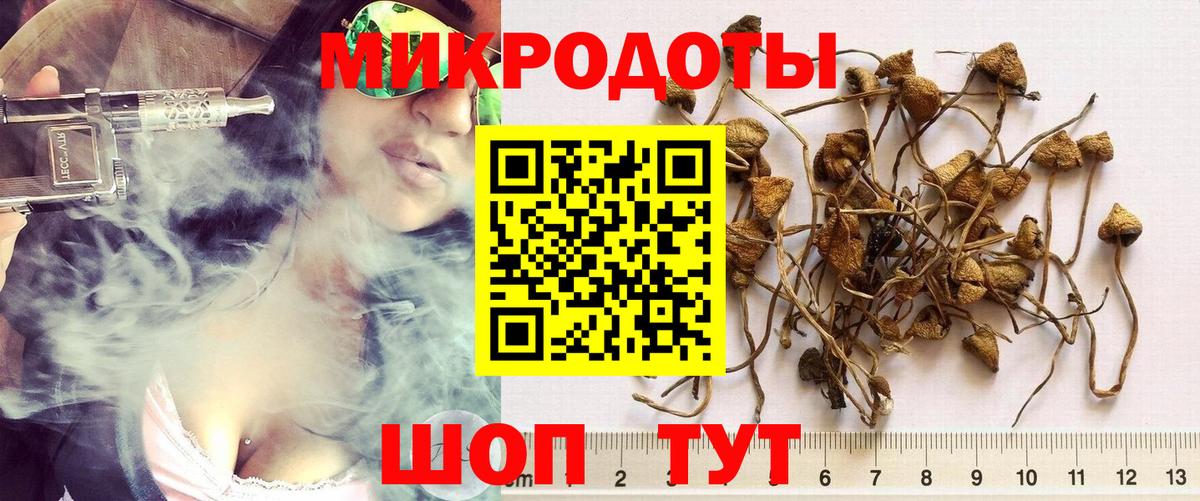 Дальнереченск  Псилоцибиновые грибы MAGIC MUSHROOMS  Вход с VPN 