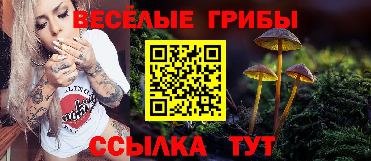 Псилоцибиновые грибы мухоморы Дальнереченск